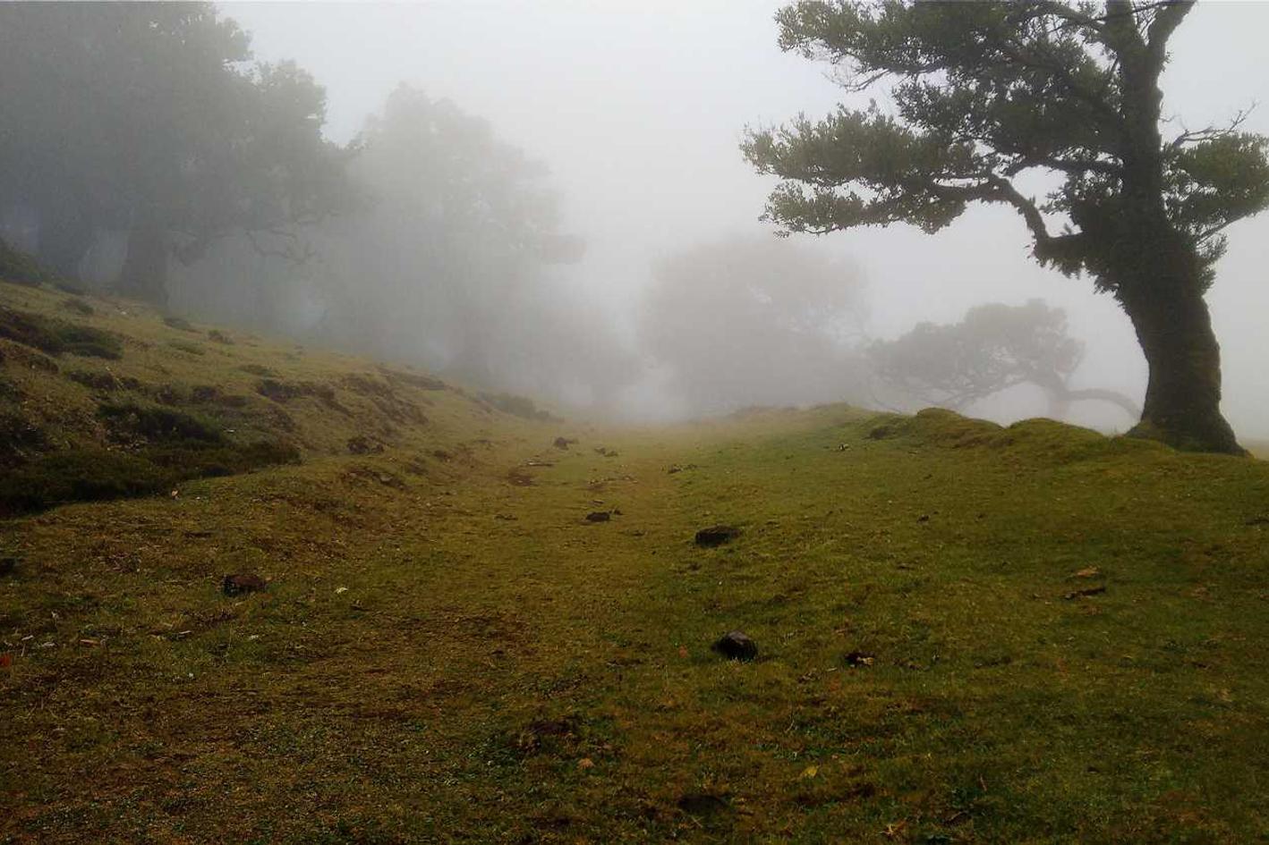 Necessitatibus cum ratione odio enim