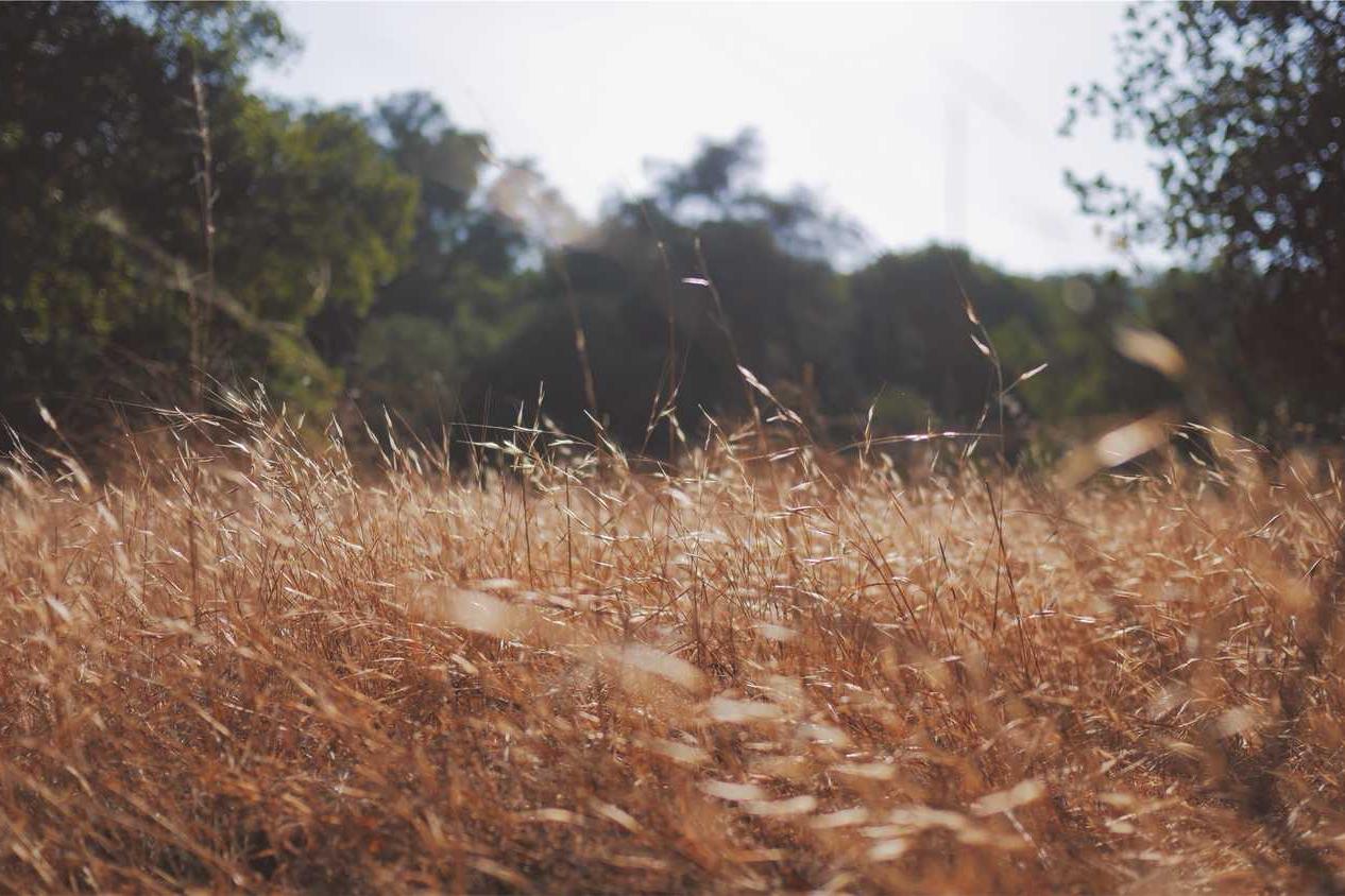 In eligendi nobis numquam quaerat