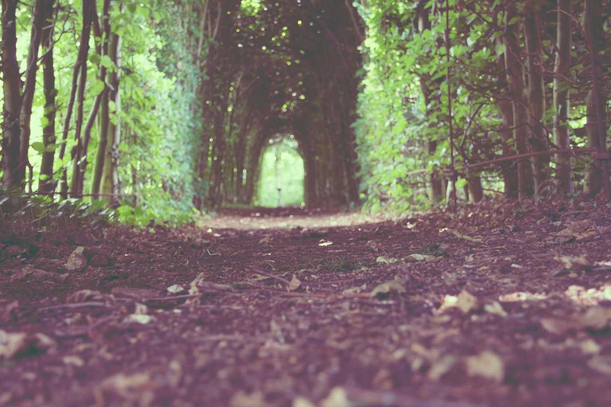 Doloribus molestiae necessitatibus voluptas aliquid magni et voluptatem non non nihil